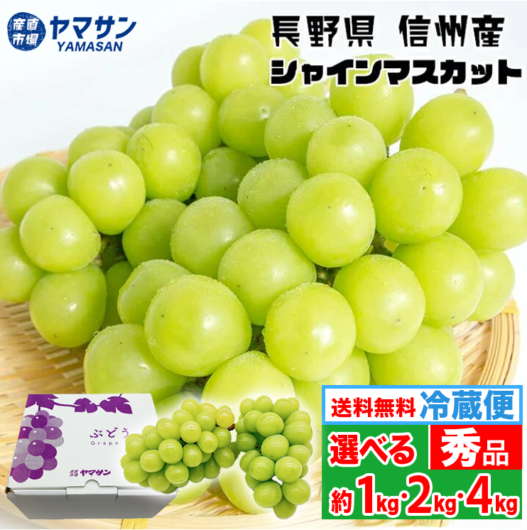 かにや★ナガノパープル10〜11房約5kg シャインマスカット600g2房 訳あり】シャインマスカット ＆ ナガノパープル 約1.5kg 3～5房