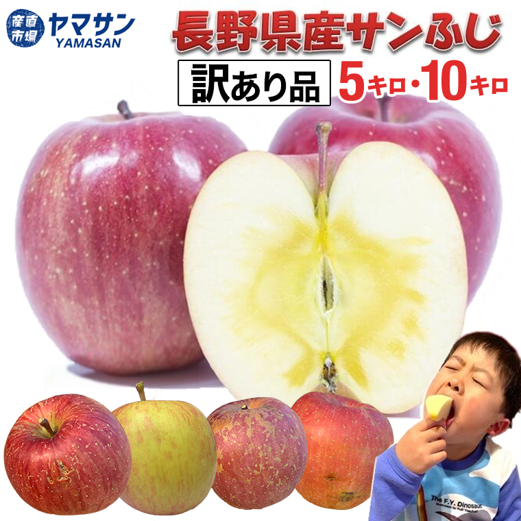 やまさん専用、箱込み10キロ、訳あり 送料無料】三ケ日みかん 訳あり ご家庭用 サイズ混合 10kg 静岡県産 奥