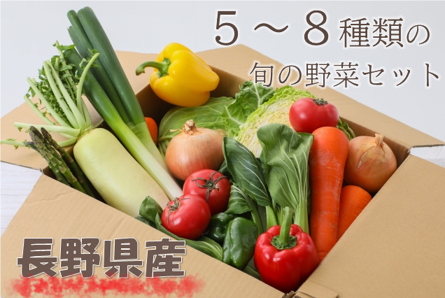 送料無料】 手作り味噌800ｇ付 長野県産おまかせ野菜セット