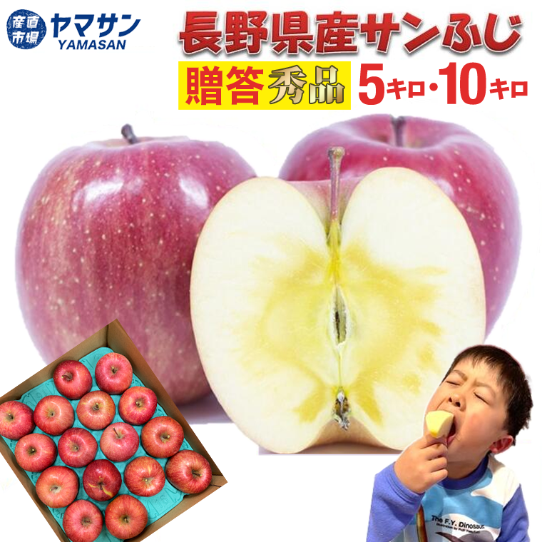 送料無料※ 長野県産 訳あり サンふじ りんご 家庭用 約5kg 約10kg 林檎