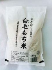 白毛もち米精白米5ｋｇ令和7年産（送料別）
