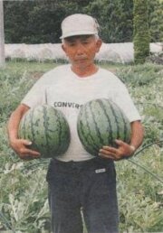 すいか