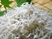 特選　上干ちりめん(500ｇ)　化粧箱入り