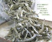 かえり（いりこ） 化粧箱入り　400g