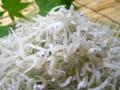 特選　上干ちりめん(500ｇ)　化粧箱入り