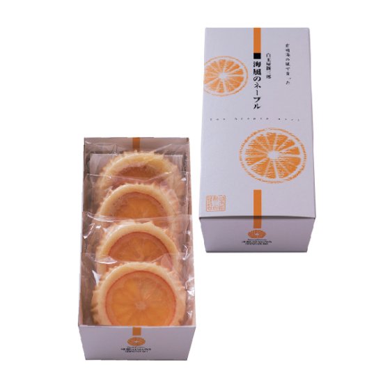 海風のネーブル　4個入