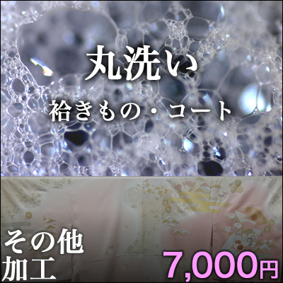 丸洗い　袷着物・コート