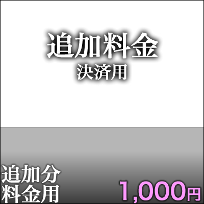 追加決済用1,000円