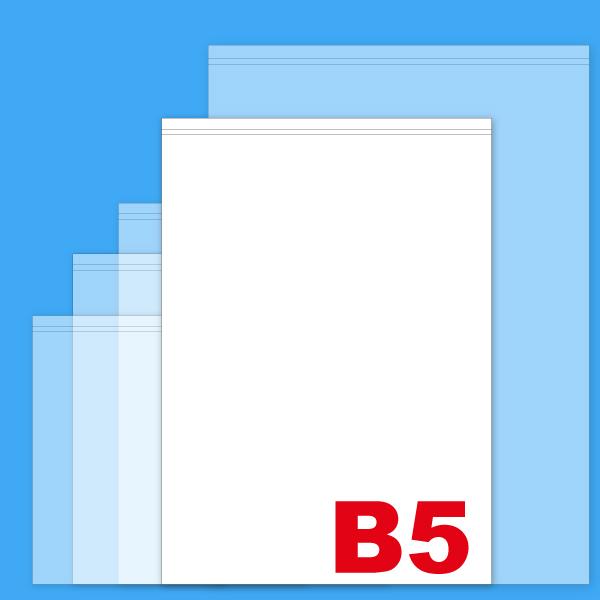 プリンター対応] 薬袋無地 B5 2,000枚