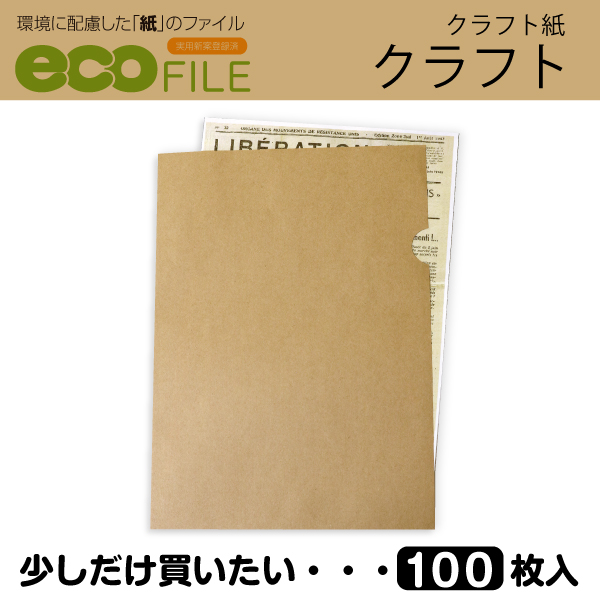 エコファイル(クラフト紙)