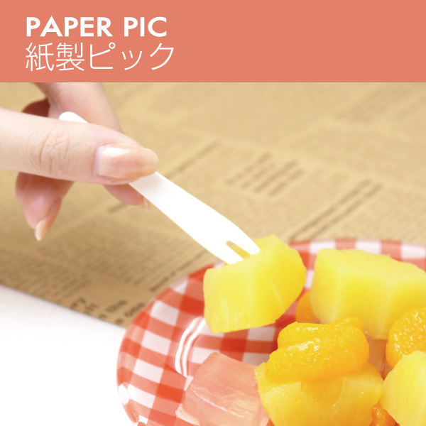 エコピックイメージ