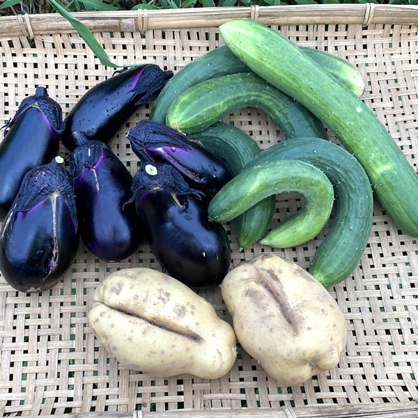 個性派揃いのお野菜おまかせセット