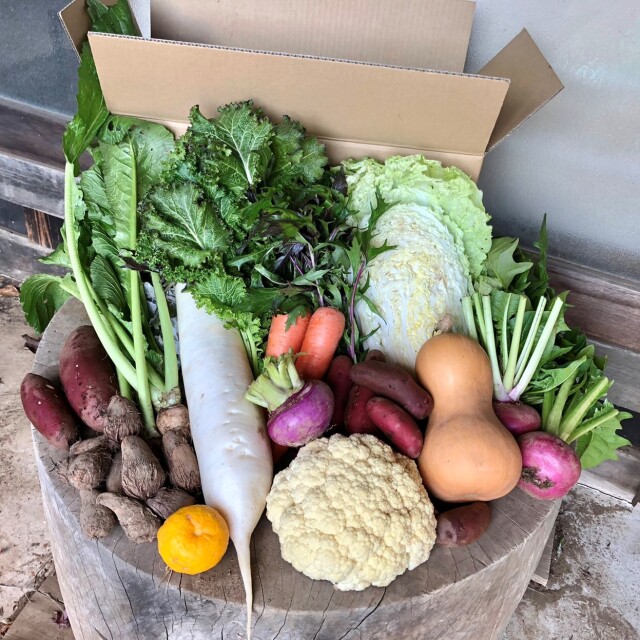 岐阜県産、自然栽培、 無消毒、8キロセット、南瓜５キロ、冬瓜3キロ、里芋 岐阜県産、自然栽培、 無消毒、8キロセット、南瓜5キロ、冬瓜3キロ、