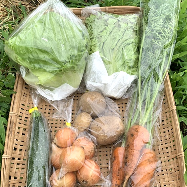 【定期宅配】旬のお野菜定番定期宅配セット