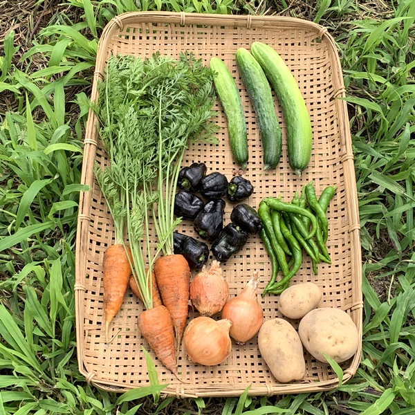【定期宅配】旬のお野菜定期宅配セット