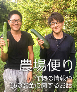翔栄ファーム　農場便り