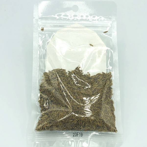 クミンシード 20g の通販