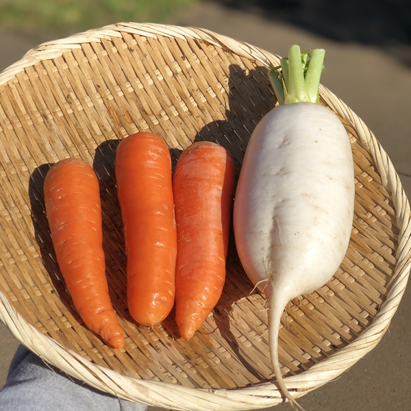 副菜にぴったり「超簡単!紅白なます」用の【紅白野菜セット】