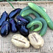 ノリコ様の野菜詰め合わせ 野菜・きのこ詰め合わせセット（10種類） - 農産物直売所