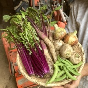 【定期宅配】 季節の産直野菜いろどりセット　Sサイズ　大人気商品受付中！