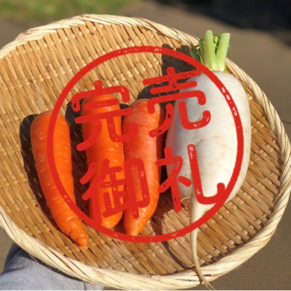 副菜にぴったり「超簡単！紅白なます」用の【紅白野菜セット】