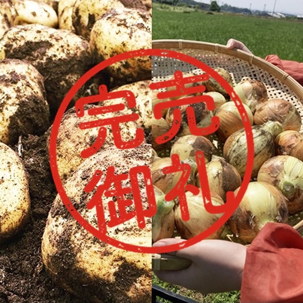 徳之島産キャサバ生芋5キロいり 安っぽい