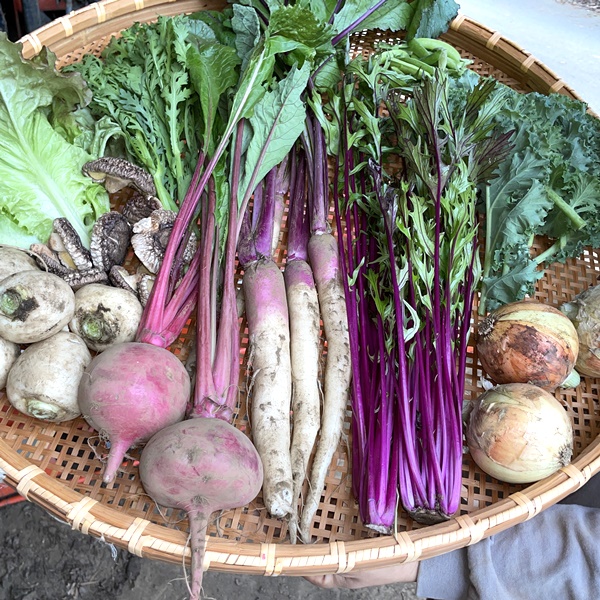 【定期宅配】季節の産直野菜いろどりセット　Mサイズ　大人気商品受付中！