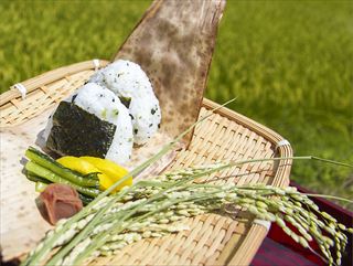 お米は日本人のソウルフード