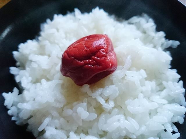 何よりも鮮度が違う