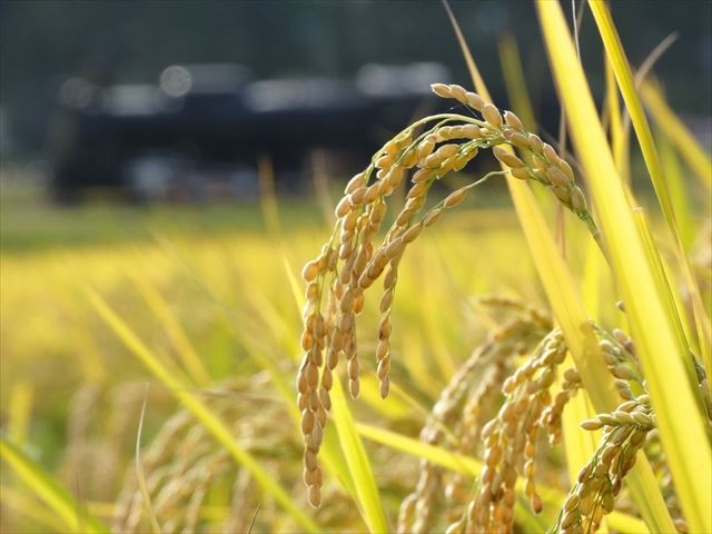 信頼できる生産者から購入できる