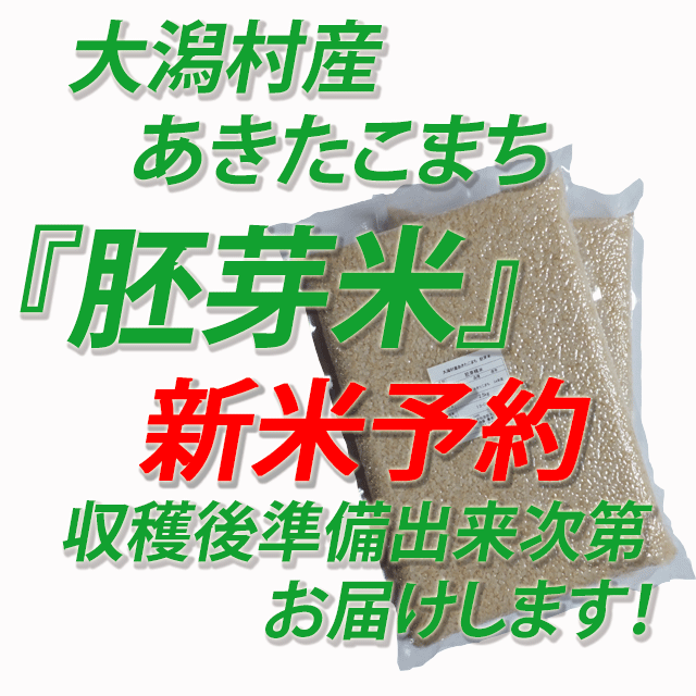 【新米予約】　令和８年産　秋田県大潟村産あきたこまち　胚芽米５ｋｇ