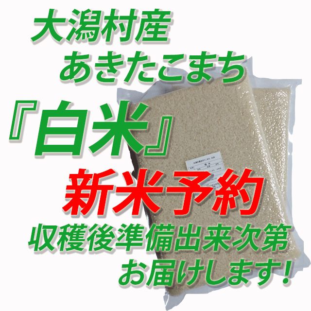 【新米予約】　令和８年産　秋田県大潟村産あきたこまち　白米　５ｋｇ