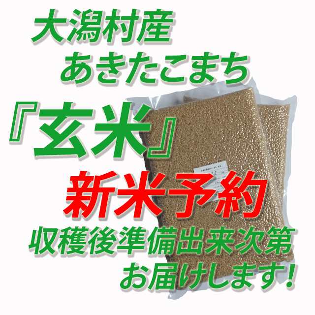 【新米予約】　令和８年産　秋田県大潟村産あきたこまち　玄米５ｋｇ