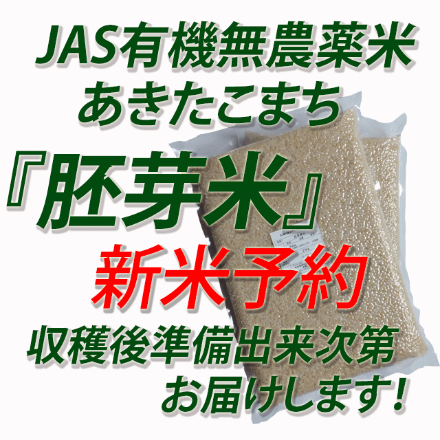 【新米予約】　令和７年産　JAS有機栽培米あきたこまち　胚芽米５ｋｇ