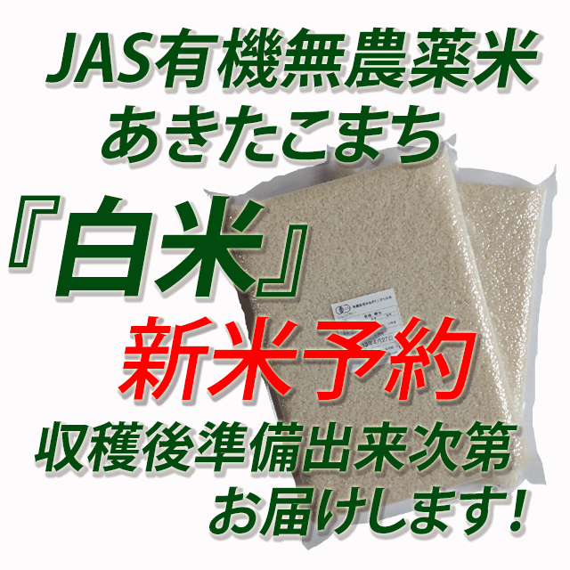 【新米予約】　令和７年産　JAS有機栽培米あきたこまち　白米５ｋｇ