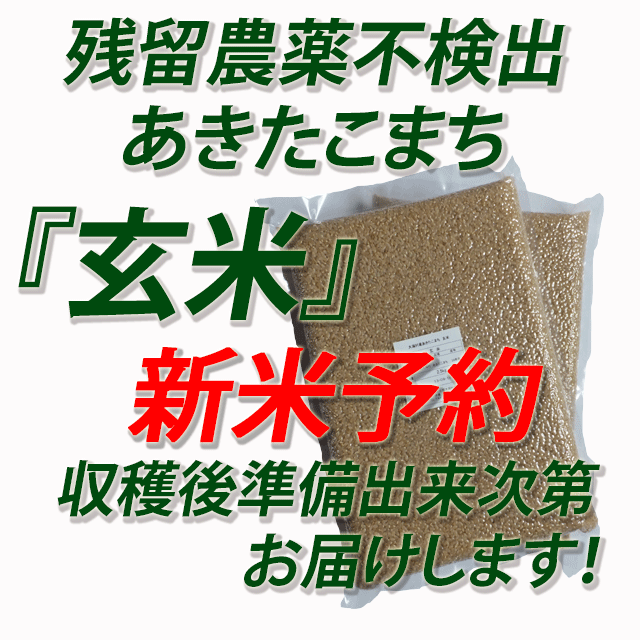 【新米予約】令和7年産 残留農薬不検出 秋田県産あきたこまち 玄米5kg