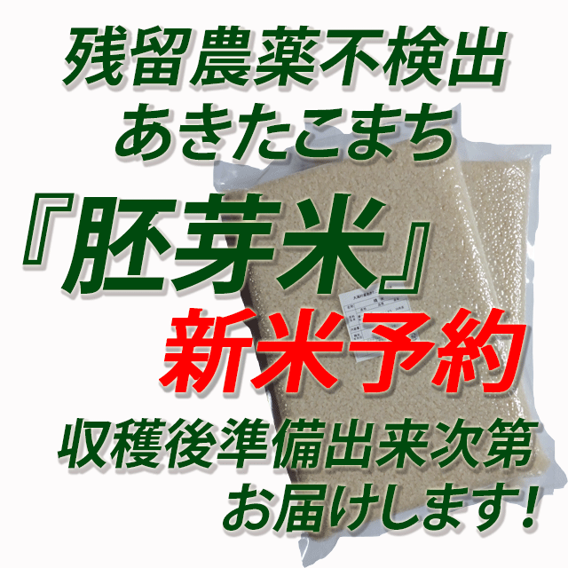 【新米予約】令和７年産　残留農薬不検出　秋田県産あきたこまち　胚芽米５ｋｇ