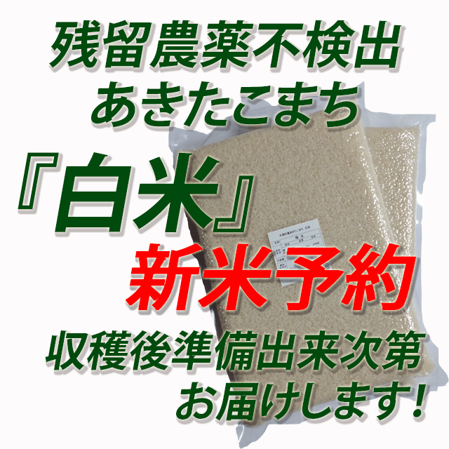【新米予約】令和７年産　残留農薬不検出　秋田県産あきたこまち　白米５ｋｇ