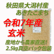 【令和７年産】大潟村産あきたこまち　玄米５ｋｇ