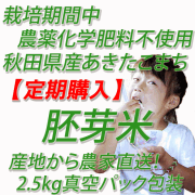 【定期購入】栽培期間中　農薬化学肥料不使用あきたこまち　胚芽米５ｋｇ