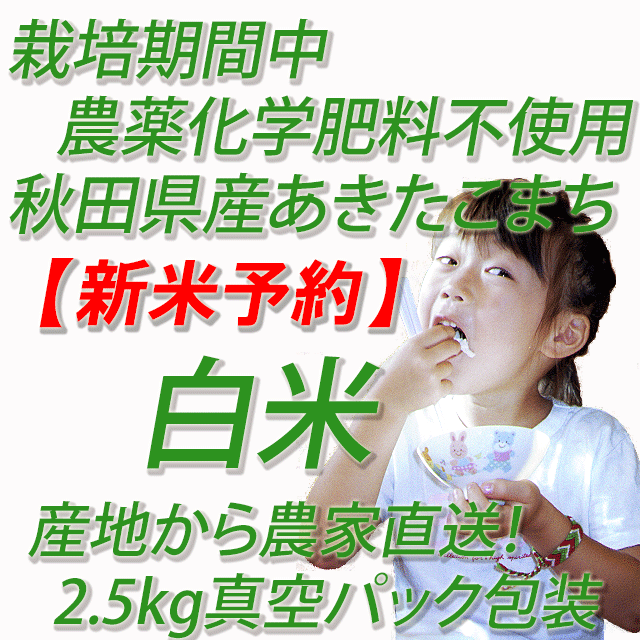 【新米予約】　令和８年産　栽培期間中農薬化学肥料不使用あきたこまち　白米５ｋｇ