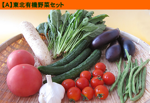 7月野菜セット