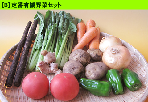 7月野菜セット