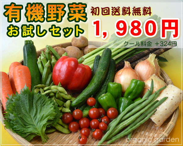 ⭐︎有機野菜　12品お野菜セット⭐︎有機JAS認証 yuuki_yasai_7_3-sin.jpg