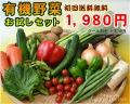 JAS有機　初めての方限定！有機野菜お試しセット【送料無料】
