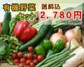 JAS有機　リピートさんもお買い得！月替わり有機野菜セット【送料込】