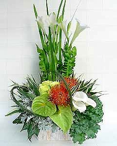 個展・楽屋用アレンジ