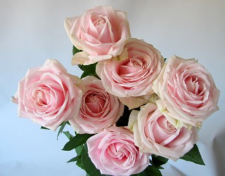 J Aime La Fleur 花や 豪華で特別なバラの花束 シュガーピンク色のバラの花束
