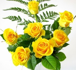 黄色のバラ 一本３２４円 １０本入り３２４０円 ｊ ａｉｍｅ ｌａ ｆｌｅｕｒ 花や