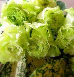 グリーン色のバラ 一本３１５円 １０本入り３１５０円 ｊ ａｉｍｅ ｌａ ｆｌｅｕｒ 花や